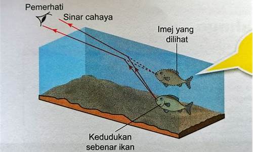 Cahaya Kegembiraan di Hiburan Wabo