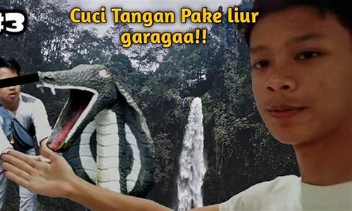 Tempat Terbaik untuk Bertaruh di Perlumbaan Kuda Wabo