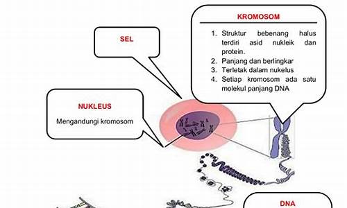 Tingkatkan strategi permainan anda dengan Wabo