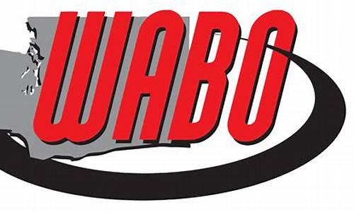 WABO Judo and Its Applications in Mixed Martial Arts