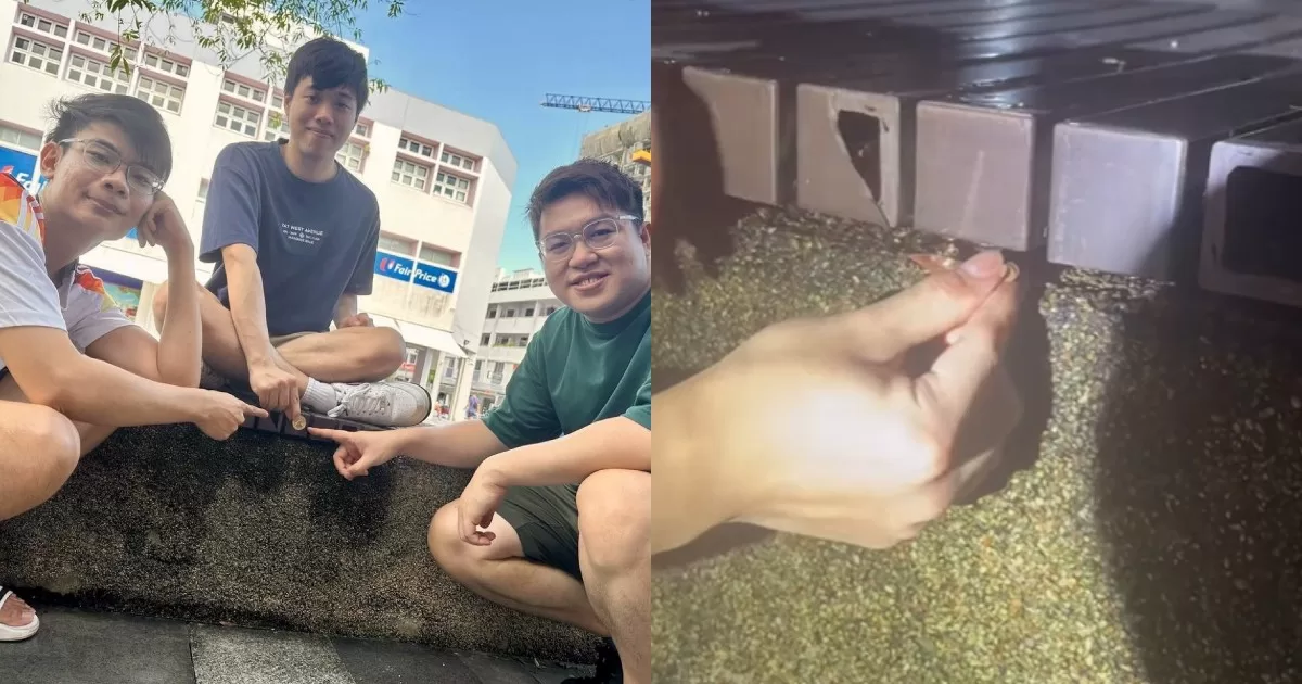 Three Friends Strike Gold: S$500K Hunt The Mouse Coin Discovered Under Bedok Bench